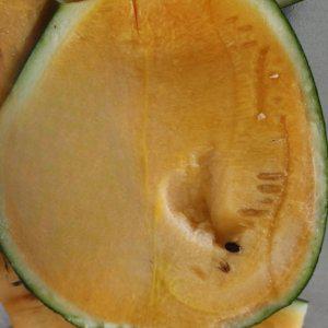 망고수박 특품 4kg