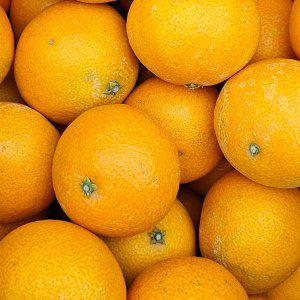제주 황금향 가정용 2kg