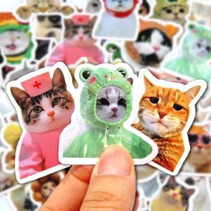 50/100pcs 재미 있은 고양이 스티커 만화 귀여운 데칼 장난감 편지지 기타 전화 자전거 노트북 수하물 자동차 낙서 어린이 스티커