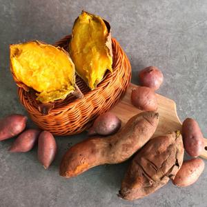 [더조은] 해남 꿀뚝뚝 호박고구마 3kg 중(50-100g)