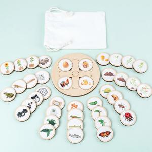 라이프 사이클 보드 몬테소리 키트 어린이를위한 생물학 과학 교육 감각 트레이 동물 그림 라이프 사이클 정렬 크리스마스 선물