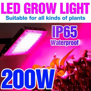 식물 램프에 대 한 Phytolamp 전체 스펙트럼 Led 성장 빛 50W 100W 200W 300W 재배 스포트 라이트 성장 액세서리 실내 Uv 램프
