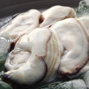 24년 제철 통영 생굴 세척 깐 생굴 1kg