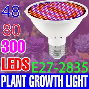 1pc LED 식물 라이트 컵 E27 빨간색과 파란색 빛 성장 빛 즙이 많은 묘목 심기 및 보충 전체 스펙트럼 빛