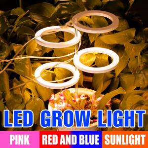 LED Phytolamp 실내 성장 조명 꽃 씨앗 재배를위한 전체 스펙트럼 수경법 식물 램프 DC5V USB LED 성장 빛