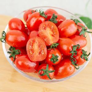 GAP인증 달콤한 스테비아 방울토마토 500g+500g 총 1kg 외