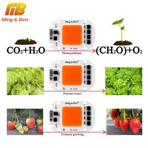 MINGBEN LED 성장 식물 빛 칩 전체 스펙트럼 220V 110V 20W 30W 50W 실내 식물 모 종 성장 및 꽃 성장 조명