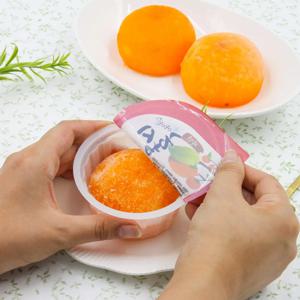 100% 아이스홍시 청도 반시 천연 아이스크림 10과