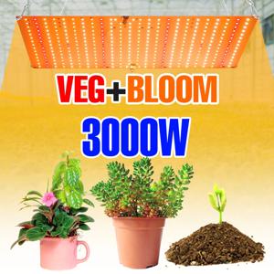 3000W Led 식물에 대 한 빛 Phyto 램프 성장 전구 전체 스펙트럼 양자 보드 수경법 성장 시스템 온실 꽃 씨앗