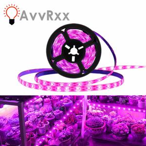 식물 빛 성장 LED 스트립 5V USB LED 1-5m 전체 스펙트럼 방수 LED 칩 온실 꽃 모종 성장 텐트 수경