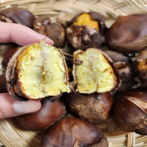 국산 햇밤(특과)고품절 1kg