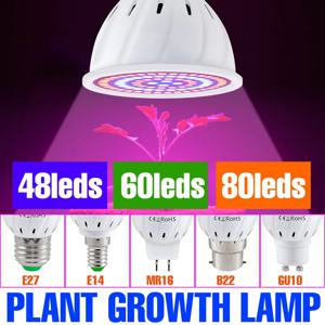 220V 수경 성장 빛 E27 Led 성장 전구 Phyto E14 꽃 식물에 대 한 전체 스펙트럼 MR16 GU10 수경 성장 램프 B22