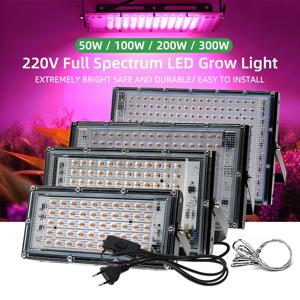 EU 플러그 220V 핑크 전체 스펙트럼 식물 램프 50W 100W 200W 300W LED 온실 수경 식물 성장 조명에 대 한 조명 성장