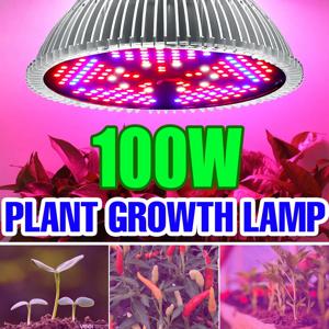 LED Phyto 성장 빛 전체 스펙트럼 Phytolamp E27 식물 전구 E14 온실 꽃 씨앗에 대 한 UV 램프 LED 수경 성장 빛