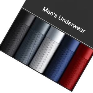 복서 반바지 팬티 남자 팬티 남자 복서 속옷 얼음 실크 메쉬 남성 섹시한 세트 통기성 Boxershorts 대형 L-5XL