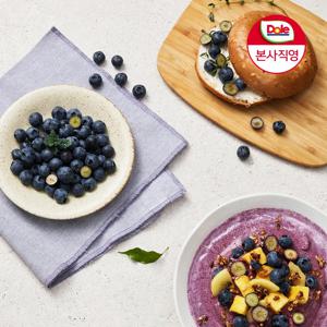 [Dole본사직영] 칠레산 생 블루베리 125g*4팩