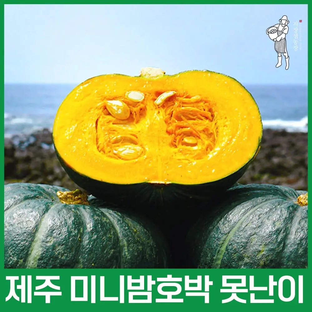 [지장샘농장] 제주산 100% 미니밤호박 특상품, 중품