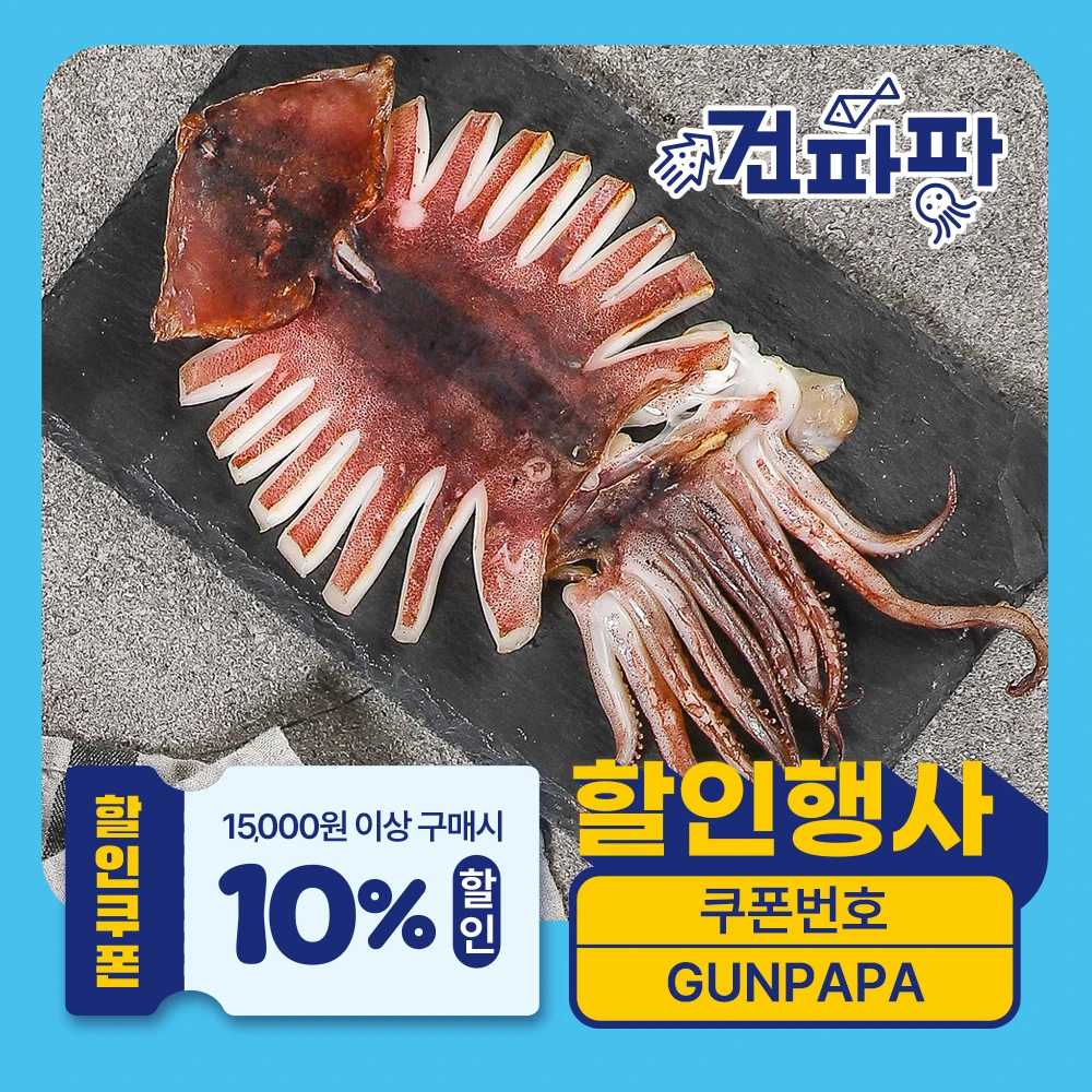 [품질보증] 구룡포건조 원양산 반건조오징어 피데기 5미