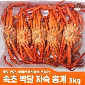 독도 인근에서 조업한 속초 박달 자숙 홍게 3kg 북방한계선 북방홍게