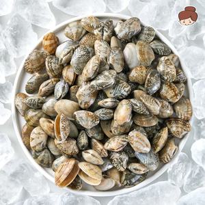 해감된 냉동 자숙 피바지락 500g 1+1 총 2봉