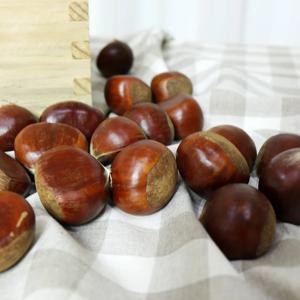 [더조은] 속이 꽉찬 햇밤 충주 밤 (대) 1kg