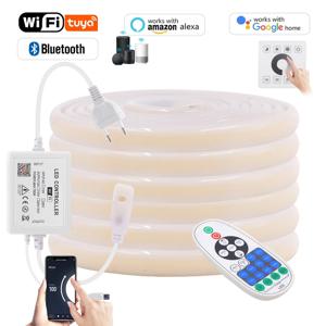 벽 터치 와이파이 블루투스 COB LED 네온 스트립 조명, 조도 조절 가능 23 키 리모컨 전원 키트, AC 220V 288LED/m 방수 로프, 220V