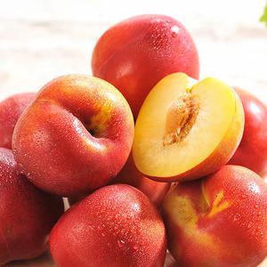 국내산 경북 의성 자두 2kg 3kg 5kg 2.5kg(왕특)