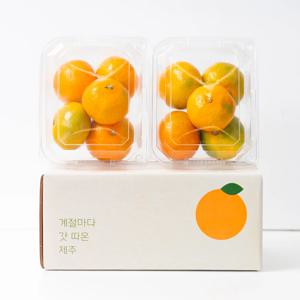 고당도 제주 하우스감귤 1kg 1.5kg 2.5kg