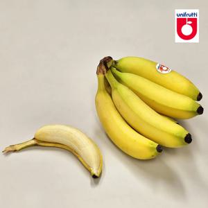 고당도 필리핀 정품 바나나 13KG (6-9수)