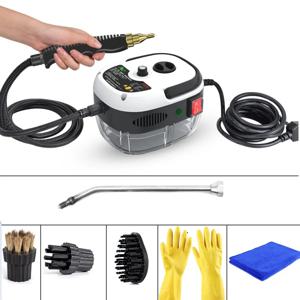 2500W 전기 스팀 청소기 고온 살균 에어컨 주방 후드 자동차 청소 기계 110/220V
