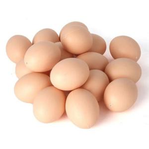부화 계란 암탉 가금류 해치 사육 시뮬레이션 가짜 플라스틱 인공 계란, DIY 페인팅 부활절 계란 교육 장난감, 5 개