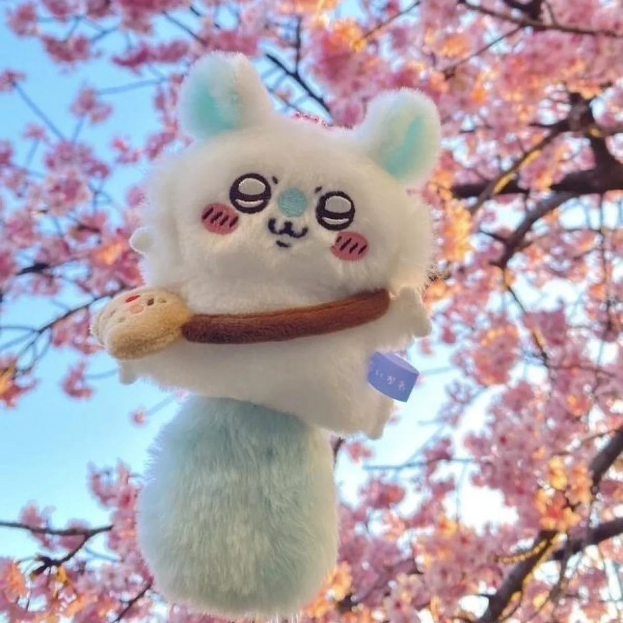 14cm Miniso Chikawas 플러시 펜던트 장난감 푹신한 인형 박제 카와이 그림 플러시 Peluche 가방 펜던트 생일 장난감 소녀 선물