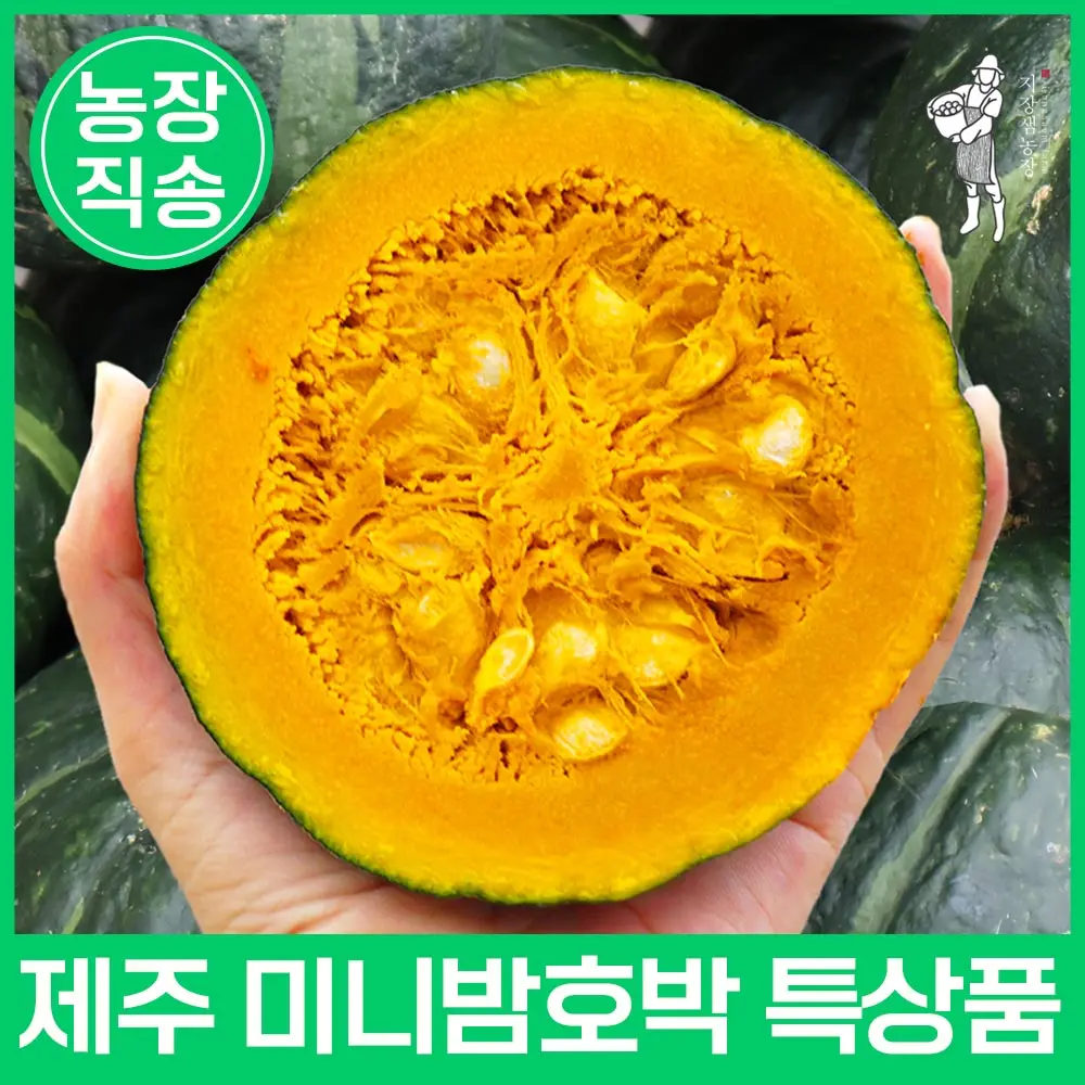 [지장샘농장] 제주 미니밤호박 보우짱 특상품 2kg