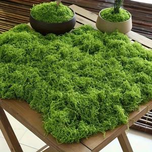 30/50/100g 녹색 인공 이끼 식물 가짜 이끼 DIY 공예 잔디 홈 룸 장식 정원 웨딩 장식 야외 장식품
