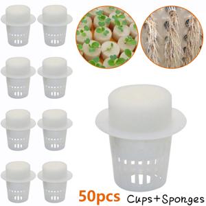 50PCS 식물 그물 컵 & 50PCS 실린더 수경법 Aquaponics 난초 식물 시작 UV 방지 플라스틱 그물 컵에 대 한 스폰지