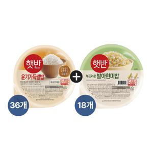햇반 윤기가득 쌀밥 210g x36개+발아현미밥 210g x18개