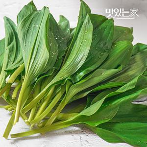 강원도 정선 고랭지 명이나물 1kg 외