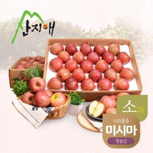 알뜰 못난이 어린이 사과소과 4.5kg 2box / 미시마, 못난이 흠집사과