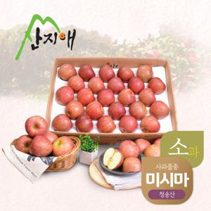 알뜰 못난이 어린이 사과소과 4.5kg 1box / 미시마, 못난이 흠집사과