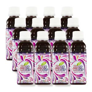 [테일러팜스 공식] 푸룬 농축 딥워터 180ml x 12병
