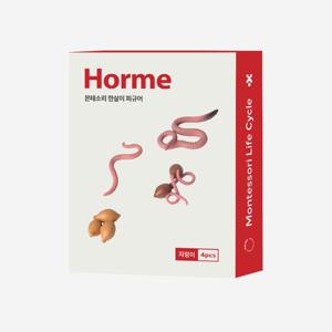 호르메 몬테소리 지렁이 한살이 동물피규어 4pcs