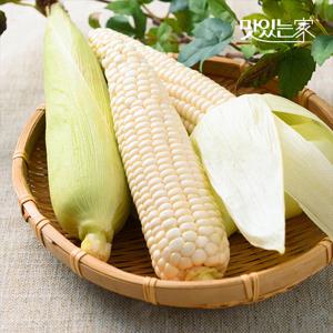 산지직송 남도 햇 미백 찰옥수수 14cm이상 10개입外