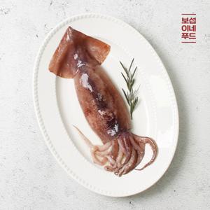손질 통오징어 10마리 (5팩)
