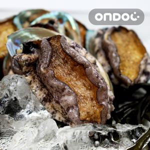 완도 활전복 4-5마리 500g 대 실속포장