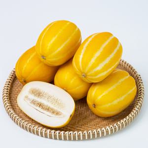 아삭아삭 달콤한 성주 참외 2kg 외
