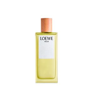 로에베 아구아 오 드 뚜왈렛 100ML