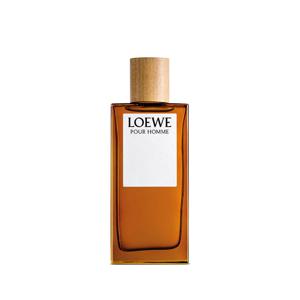로에베 뿌르 옴므 오 드 뚜왈렛 100ML