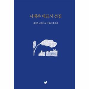 나태주 대표시 선집 걱정은 내 몫이고 사랑은 네 차지