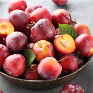 와촌 노지 자두 1.5kg 대과 (15-25과)