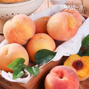 달콤한 노지 황도복숭아 2kg (13과내외) 外 과수별